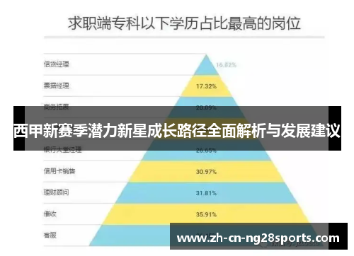 西甲新赛季潜力新星成长路径全面解析与发展建议