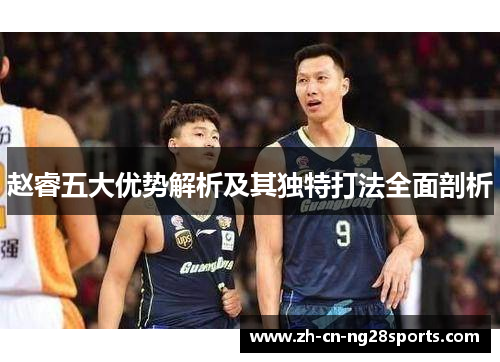 赵睿五大优势解析及其独特打法全面剖析